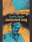 Jantarové sny - náhled