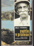 Světlo v pralese - náhled