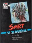 Smrt v závěji - náhled