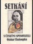 Setkání s českými spisovateli - náhled