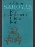 Léto na krásném bílém koni - náhled