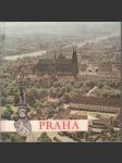 Prfaha - náhled