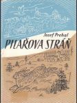 Pilařova stráň - náhled