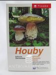 Houby: Určování, poznávání, sbírání - náhled