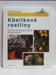 Kbelíkové rostliny: Rostliny pro balkony, terasy, střešní zahrady - náhled