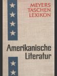 Amerikanische Literatur - náhled