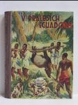 V pralesích Ecuadoru (II. díl Lovců orchidejí) - náhled