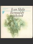 Bermudský trojúhelník - náhled