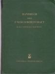 Handbuch der Energiewirtschaft (väčší formát) - náhled