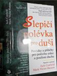 Slepičí polévka pro duši : povídky a příběhy pro potěchu srdce a posílení ducha - náhled