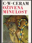 Oživená minulost - náhled