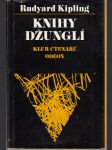 Knihy džunglí - náhled