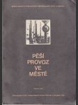 Pěší provoz ve městě - náhled