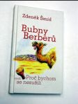 Bubny berberů - náhled