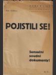 Pojistili se! - náhled