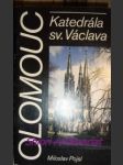 Katedrála sv. václava - pojsl miloslav - náhled