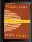 Polsko-český, česko-polský kapesní slovník - náhled