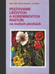 Pestovanie liečivých a koreninových rastlín na malých plochách - náhled