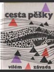 Cesta pěšky - náhled