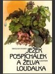 Ježek Pospíchálek a želva Loudalka - náhled