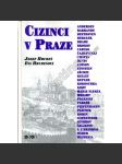 Cizinci v Praze - náhled