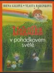 Lískulka v pohádkovém světě - náhled