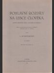 Pohlavní rozdíly na lebce člověka - náhled