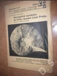 Geologická vycházka do křídy západní části Prahy - náhled