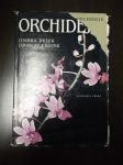 Orchideje - náhled