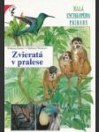 Zvieratá v pralese - náhled