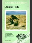 Ngorongoro's Animal Life - náhled