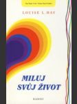 Miluj svuj život - náhled