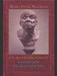 F. X. Messerschmidt a záhada jeho charakterových hláv - náhled