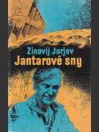 Jantarové sny - náhled