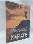 Dynamické karate - náhled