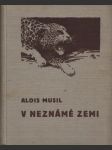 V neznámé zemi - náhled