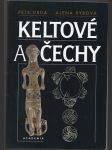 Keltové a Čechy - náhled