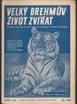 Velký Brehmův život zvířat sešit 58 - náhled