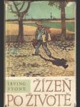 Žízeň po životě (Vincent van Gogh) - náhled