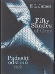 Fifty Shades of Grey / Padesát odstínů šedi - náhled