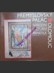 Národní kulturní památka přemyslovský palác v olomouci - katalog expozice - bistřický jan / dohnal vít / hlobil ivo / pojsl miloslav / rozehnal aleš - náhled