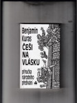 Češi na vlásku (Příručka národního přežívání) - náhled