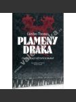 Plameny draka - náhled