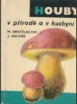 Houby v přírodě a v kuchyni - náhled