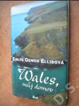 Wales, můj domov - náhled