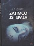 Zatímco jsi spala - náhled