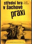 Střední hra v šachové praxi - náhled