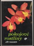 Pokojové rostliny - náhled