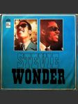 Zázračný stevie wonder - náhled