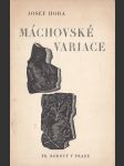 Máchovské variace - náhled